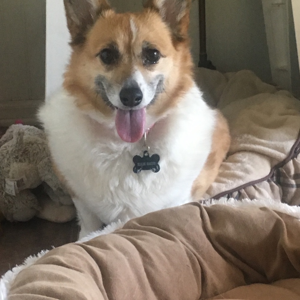 Meet your Posher, Joelle